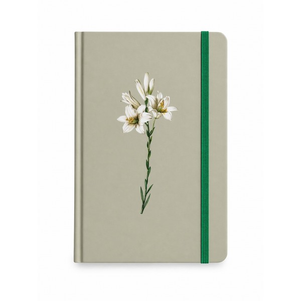 Caderno Moleskine