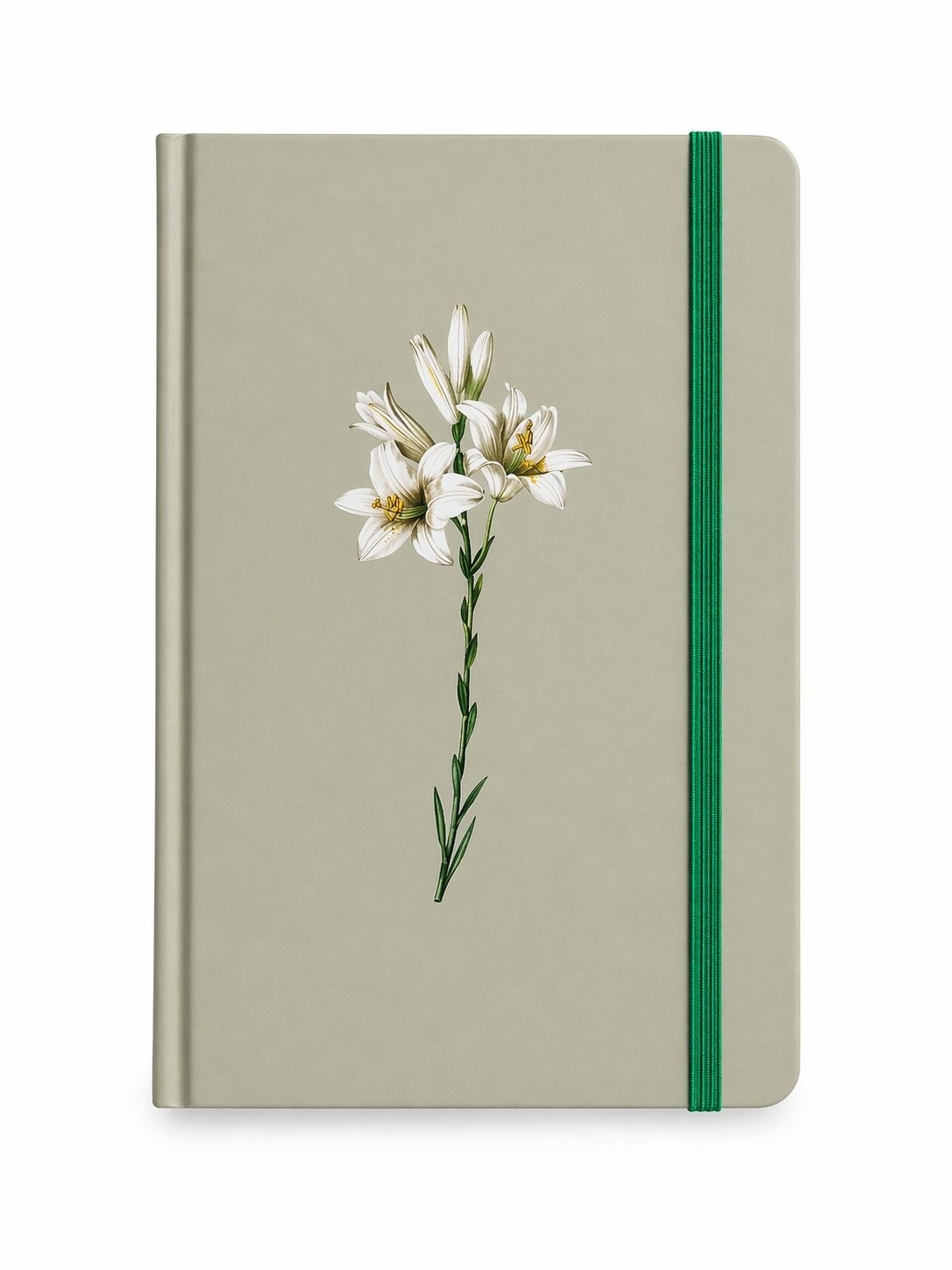 Caderno Moleskine